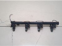  Форсунка топливная Renault Clio 1998-2008 20395554 #1