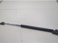  Амортизатор крышки багажника Lexus RX 2003-2009 20395935 #1