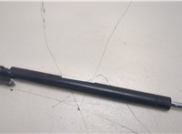  Амортизатор крышки багажника Lexus RX 2003-2009 20395935 #3