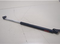  Амортизатор крышки багажника Lexus RX 2003-2009 20395939 #1