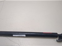  Амортизатор крышки багажника Lexus RX 2003-2009 20395939 #3