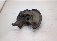  Ступица (кулак, цапфа) Audi A4 (B6) 2000-2006 20395953 #1