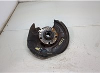  Ступица (кулак, цапфа) Audi A4 (B6) 2000-2006 20395953 #2