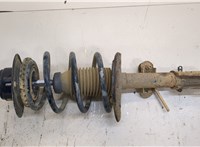  Амортизатор подвески Chrysler Pacifica 2003-2008 20396064 #1