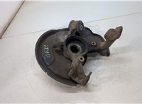  Ступица (кулак, цапфа) Audi A4 (B6) 2000-2006 20396199 #1