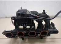  Коллектор впускной Ford Fiesta 2001-2007 20396327 #4
