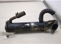  Охладитель отработанных газов Ford Transit 2014- 20396501 #3