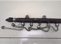  Рампа (рейка) топливная Ford Transit 2014- 20396504 #1