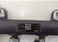  Рампа (рейка) топливная Ford Transit 2014- 20396504 #4