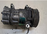  Компрессор кондиционера Peugeot 206 20396793 #1