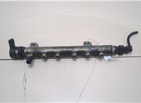  Рампа (рейка) топливная Opel Vectra C 2002-2008 20396847 #1