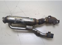  Охладитель отработанных газов Renault Scenic 2003-2009 20396897 #1
