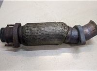  Гофра трубы приемной BMW X5 E53 2000-2007 20397601 #1
