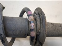  Амортизатор подвески Audi A4 (B8) 2007-2015 20398087 #4