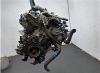 10102WL5A0 Двигатель (ДВС) Nissan Elgrand 2002-2010 20398648 #2