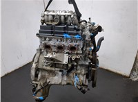 10102WL5A0 Двигатель (ДВС) Nissan Elgrand 2002-2010 20398648 #3
