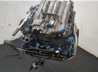 10102WL5A0 Двигатель (ДВС) Nissan Elgrand 2002-2010 20398648 #16