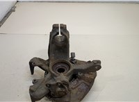  Ступица (кулак, цапфа) Volkswagen Golf 4 1997-2005 20399523 #1