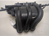  Коллектор впускной Volkswagen Polo 2005-2009 20400011 #1