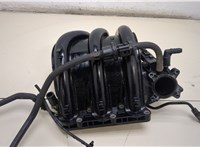  Коллектор впускной Volkswagen Polo 2005-2009 20400023 #1