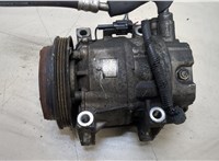  Компрессор кондиционера Nissan Elgrand 2002-2010 20400232 #1