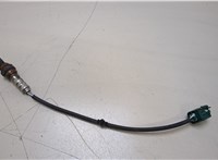  Лямбда зонд Nissan Elgrand 2002-2010 20400253 #1