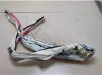  Подушка безопасности боковая (шторка) Ford Kuga 2016-2019 20400381 #1