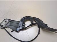  Петля капота Ford Focus 3 2011-2015 20402294 #3
