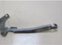  Петля капота Nissan Note E11 2006-2013 20402296 #1