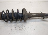  Амортизатор подвески Skoda Octavia Tour 1996-2011 20402491 #1
