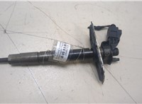 0445116030 Форсунка топливная Volkswagen Passat 6 2005-2010 20402520 #1