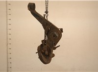  Рычаг подвески Hyundai Santa Fe 2000-2005 20402538 #1