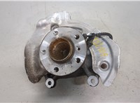  Ступица (кулак, цапфа) BMW i3 2013-2022 20403001 #5
