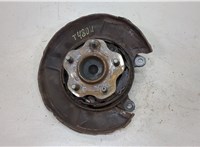  Ступица (кулак, цапфа) Nissan Serena (C25) 2005-2010 20403020 #1