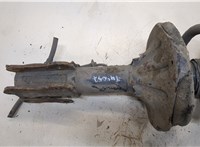  Амортизатор подвески KIA Carnival 2001-2006 20403514 #3