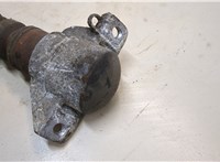  Амортизатор подвески Audi A4 (B8) 2007-2015 20403898 #2