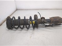 Амортизатор подвески Opel Antara 20404285 #3