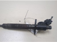 0445116013 Форсунка топливная Land Rover Discovery 4 2009-2016 20405040 #1