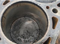  Блок цилиндров (Шорт блок) Audi A4 (B7) 2004-2009 20405154 #8