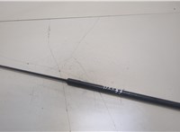  Амортизатор капота Audi A6 (C6) 2004-2011 20405158 #1
