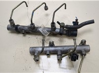  Рампа (рейка) топливная Volkswagen Touareg 2002-2007 20405166 #1
