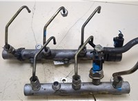  Рампа (рейка) топливная Volkswagen Touareg 2002-2007 20405166 #5