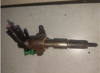 9802448680 Форсунка топливная Peugeot 3008 2009-2016 20405435 #1