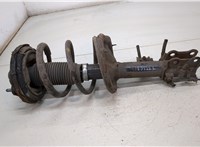  Амортизатор подвески KIA Carens 2006-2012 20405526 #1