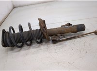  Амортизатор подвески Ford Focus 2 2008-2011 20405627 #1