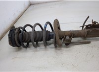  Амортизатор подвески Nissan Qashqai 2006-2013 20405633 #1
