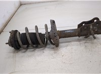  Амортизатор подвески Ford Fiesta 2001-2007 20405662 #1