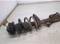  Амортизатор подвески Dodge Avenger 2007- 20405979 #1