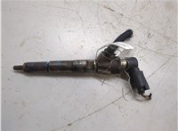  Форсунка топливная Renault Scenic 2009-2012 20405994 #1