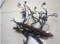  Рампа (рейка) топливная Land Rover Range Rover 3 (LM) 2002-2012 2529393 #4